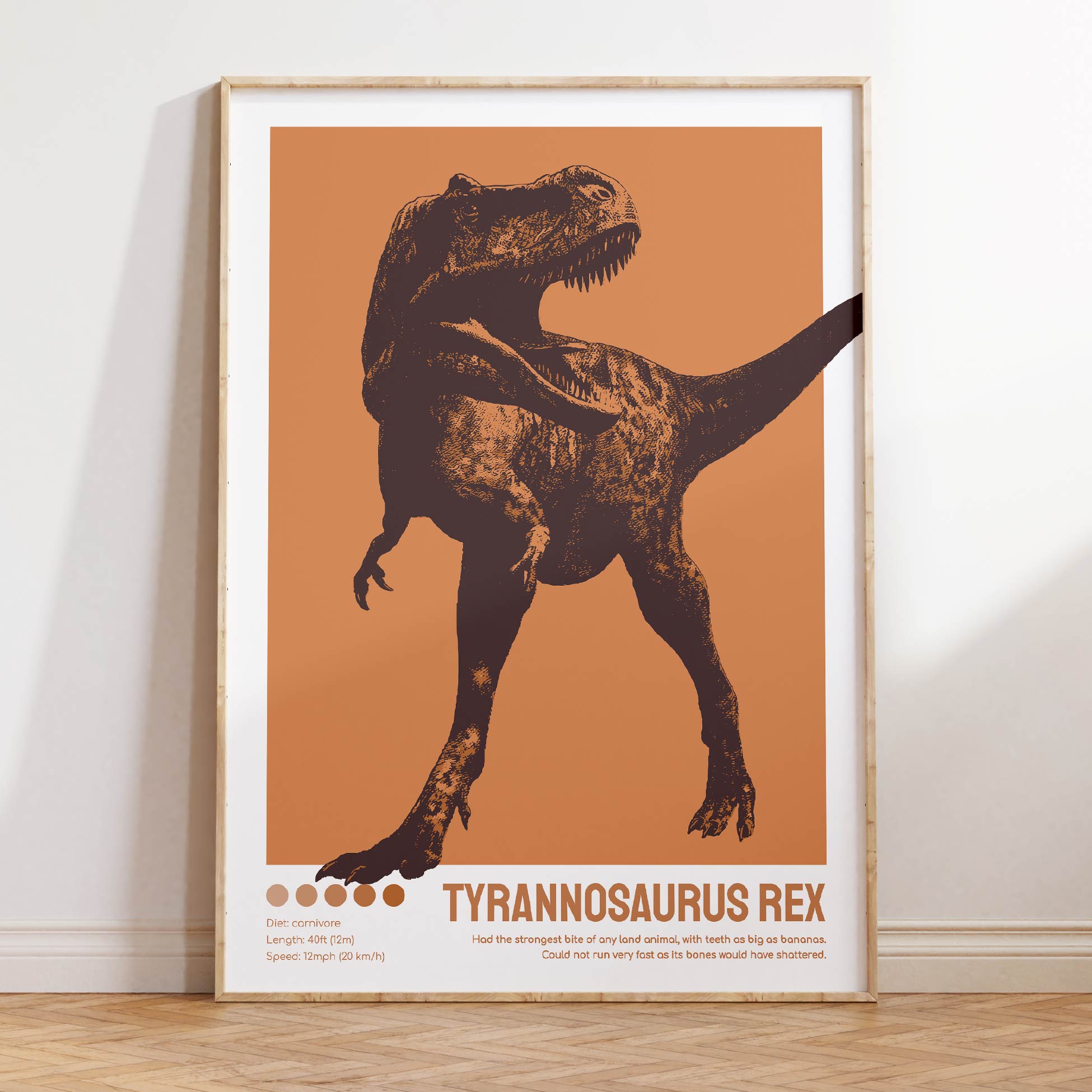 Affiches dinosaures - Camille Chauvelin - Graphiste