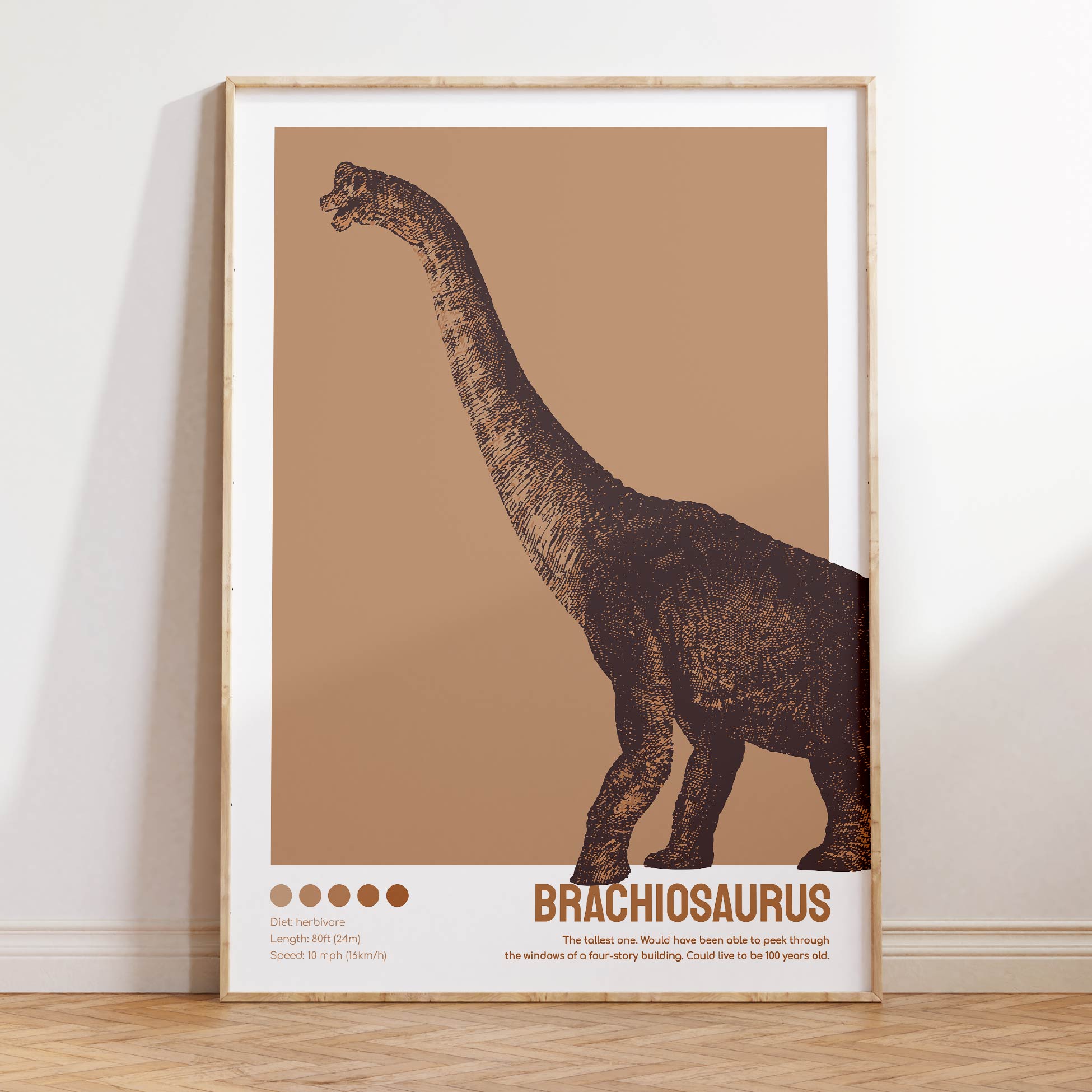 Affiches dinosaures - Camille Chauvelin - Graphiste