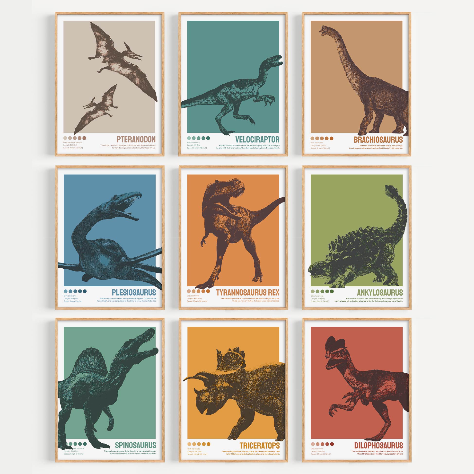 Affiches dinosaures - Camille Chauvelin - Graphiste