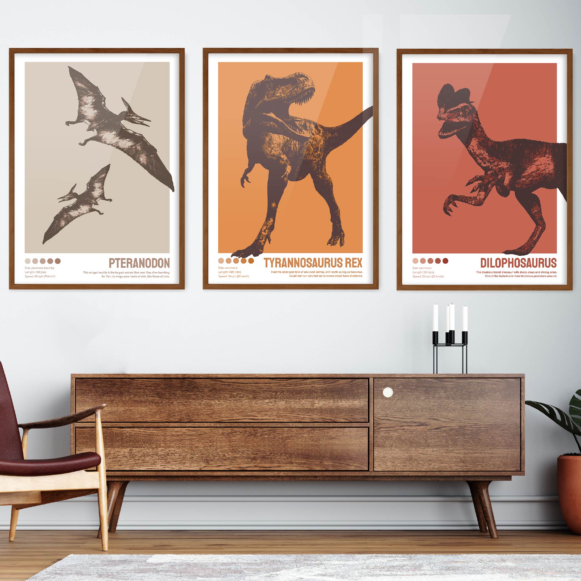 Affiches dinosaures - Camille Chauvelin - Graphiste